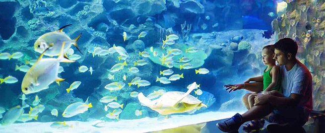 Океанариум для компании (6 чел.)