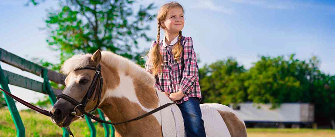 Прогулка на пони для детей