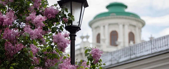 Индивидуальная экскурсия «Дом Пашкова»  для двоих