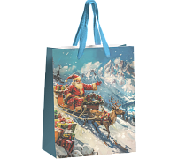 Подарочный пакет "Дед Мороз" (20х30см)