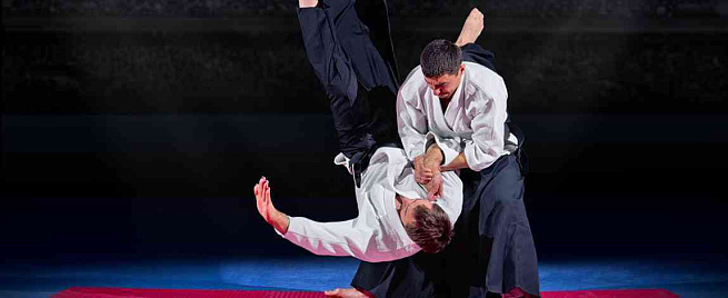 Занятие по айкидо