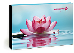 Безмятежность (набор спа впечатлений)