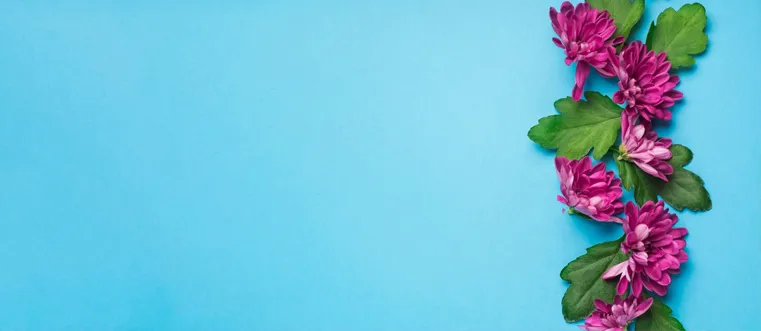 Дарите лучшее